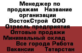 Менеджер по продажам › Название организации ­ ВостокСтрой, ООО › Отрасль предприятия ­ Оптовые продажи › Минимальный оклад ­ 35 000 - Все города Работа » Вакансии   . Татарстан респ.,Чистопольский р-н